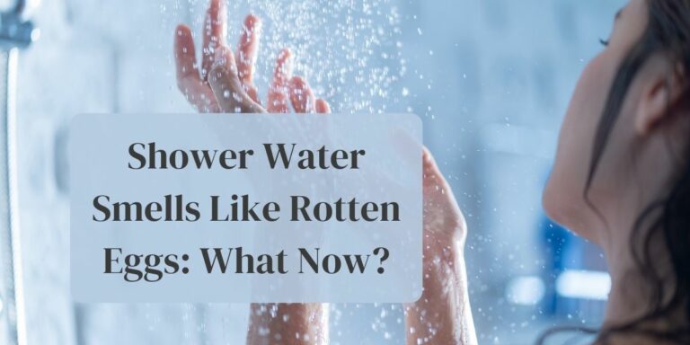 Shower water smells like rotten eggs: What now?