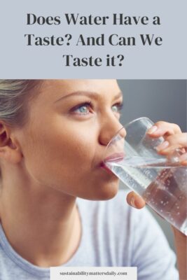 Does Water Have a Taste? And Can We Taste it?