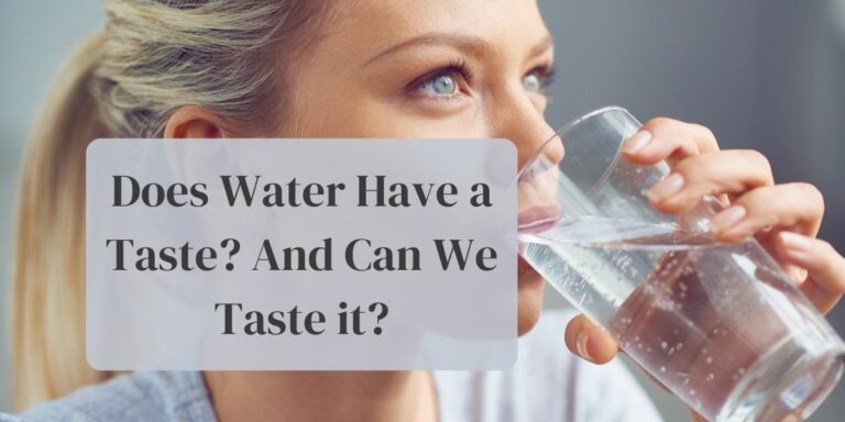 Does water have a taste? And can we taste it?