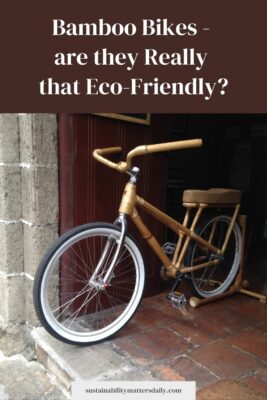 Bamboo Bikes -  are they Really  that Eco-Friendly?