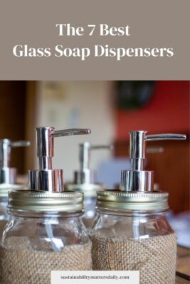The 7 Best  Glass Soap Dispensers 
