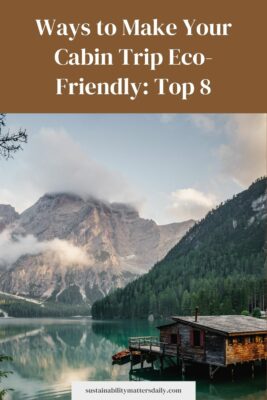 Ways to Make Your Cabin Trip Eco-Friendly: Top 8