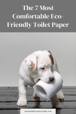 The 7 Most Comfortable Eco-Friendly Toilet Paper