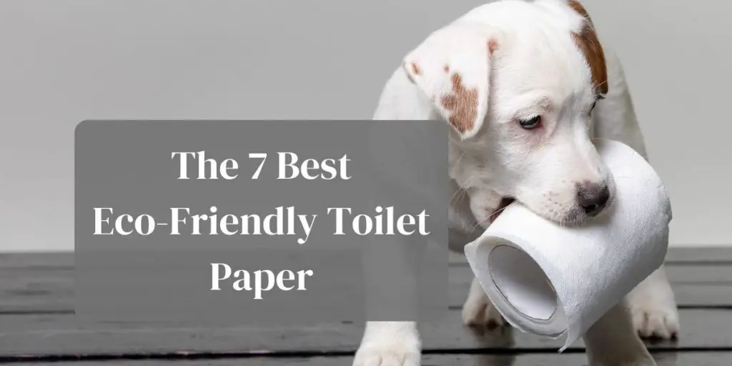 The 7 Best Eco-Friendly Toilet Paper
