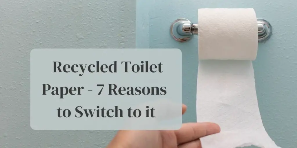 Recycled Toilet Paper - 7 Reasons to Switch to it
