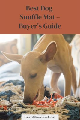 Best dog snuffle mat - buyer's guide