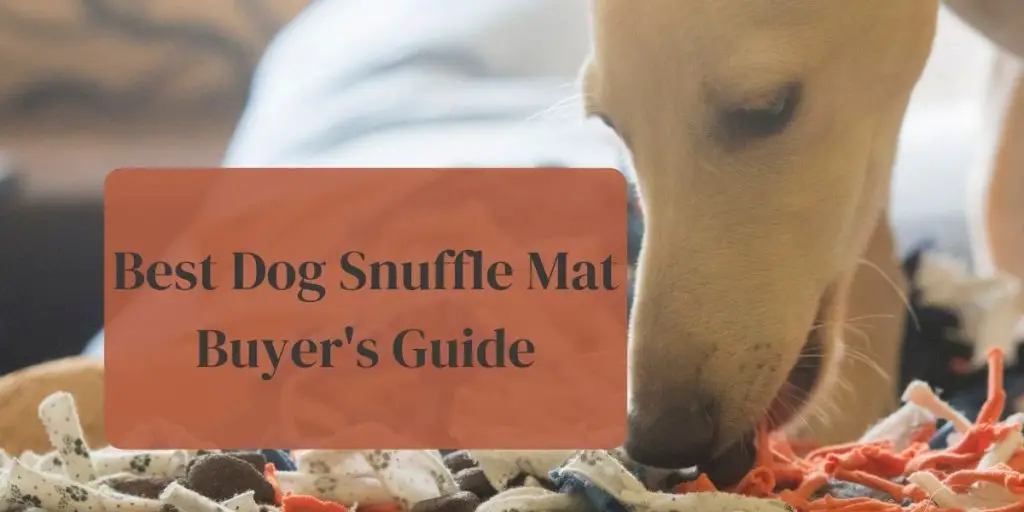 Best dog snuffle mat buyer's guide