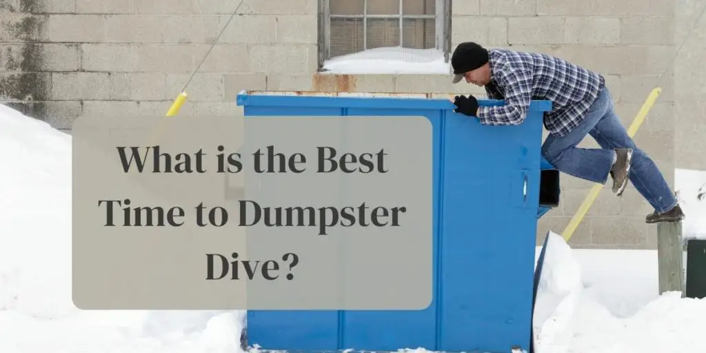 What is the Best Time to Dumpster Dive?