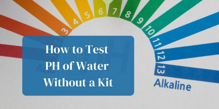 How to test PH of water without a kit: various methods to use