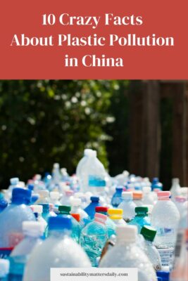 10 Crazy Facts  About Plastic Pollution  in China