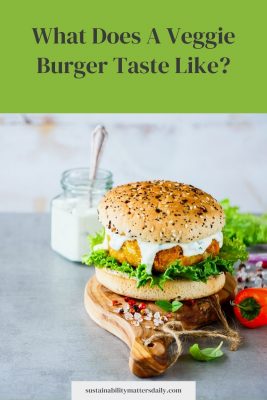 What does a veggie burger taste like?