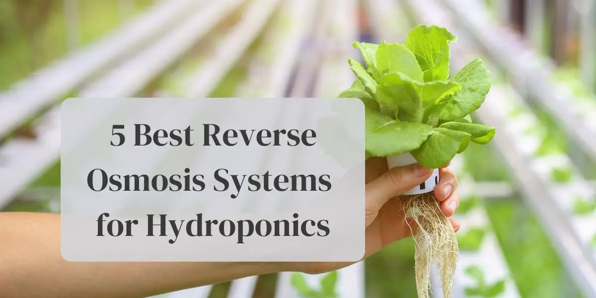Best reverse osmosis system for growing: 5 picks for hydroponics