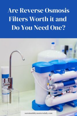 Are Reverse Osmosis Filters Worth it and Do You Need One?