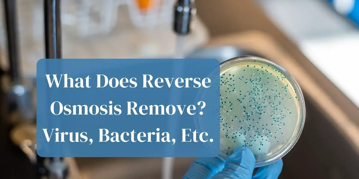 What Does Reverse Osmosis Remove? Virus, Bacteria, Etc.