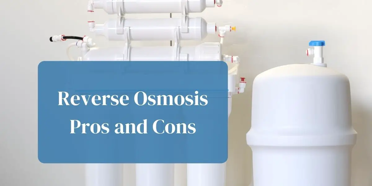 Reverse Osmosis Pros and Cons: Why you should or should not use it