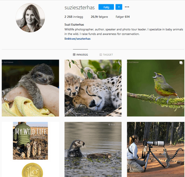 15 best Wildlife Photographers on Instagram for Inspiration 