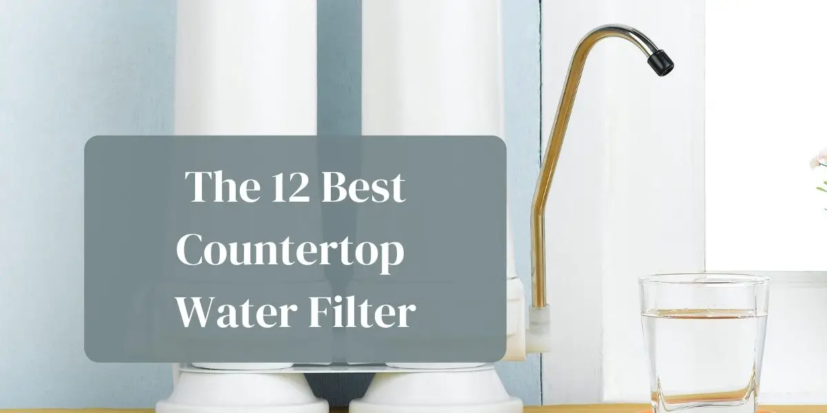 Best Countertop Water Filter: 12 models to choose from in 2022