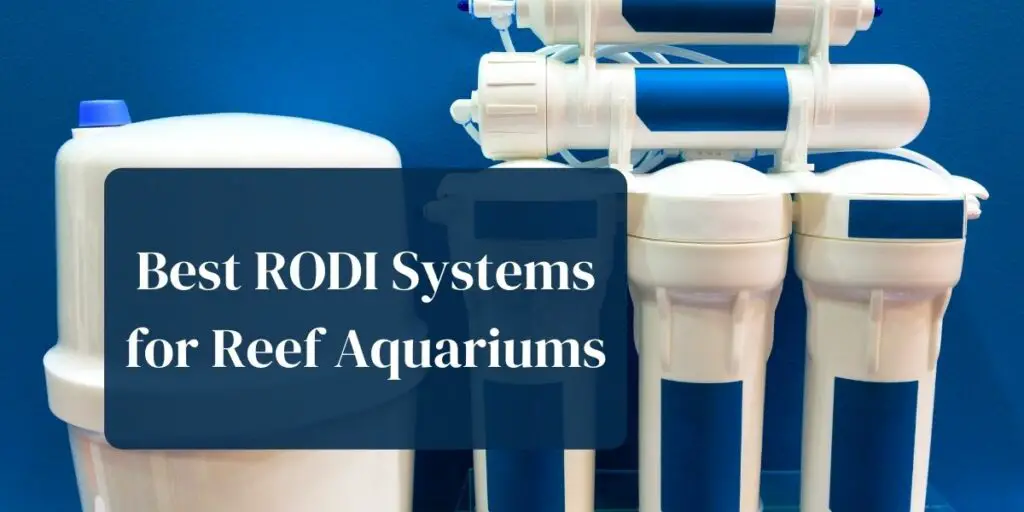 Best RODI Systems for Reef Aquariums