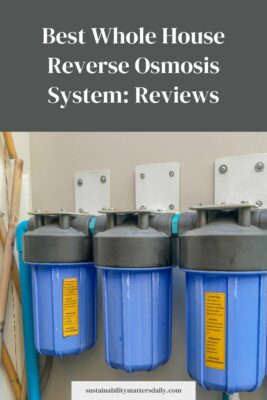 Best Whole House Reverse Osmosis System: Reviews