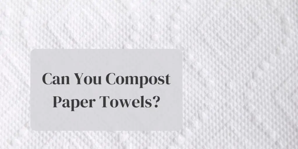 Can you compost paper towels?