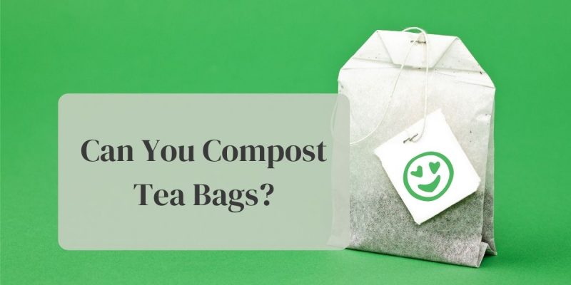 Can you compost tea bags? - SMD.com