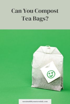 Can you compost tea bags?