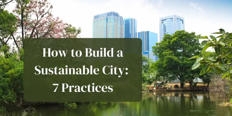 How to Build a Sustainable City: 7 Practices and Examples